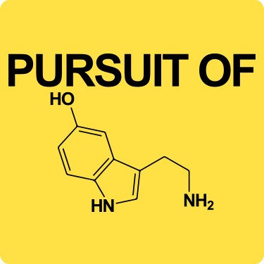 Pursuit Of Happiness Tee