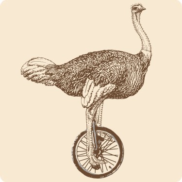 Talented Ostrich Tee