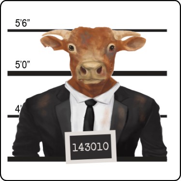 Cow Mugshot T-Shirt
