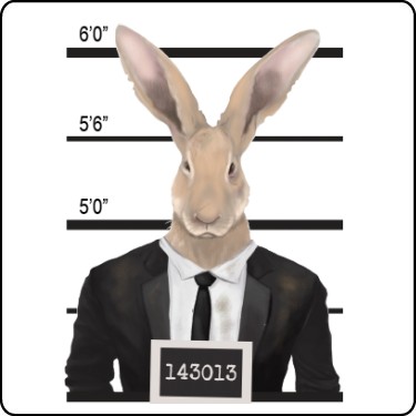 Hare Mugshot T-Shirt