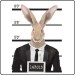 Hare Mugshot T-Shirt